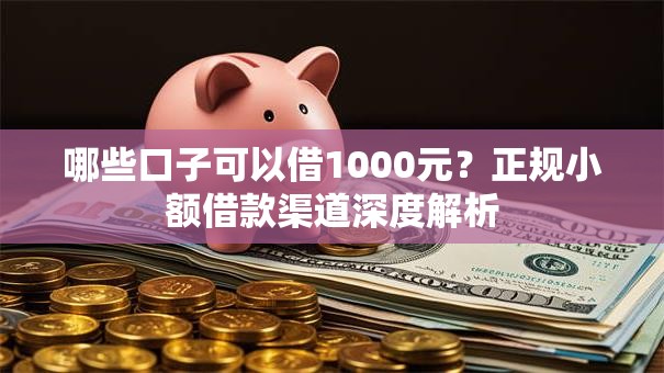 哪些口子可以借1000元？正规小额借款渠道深度解析
