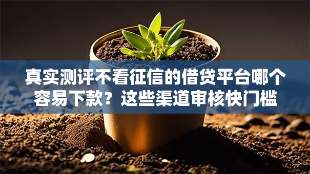 真实测评不看征信的借贷平台哪个容易下款？这些渠道审核快门槛低