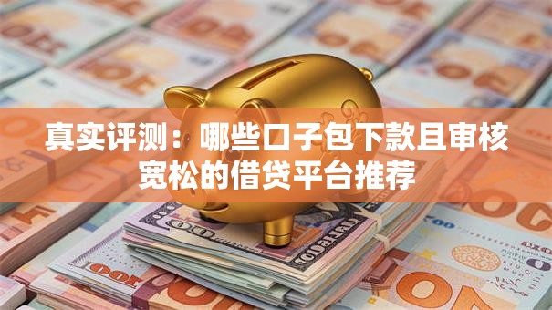 真实评测：哪些口子包下款且审核宽松的借贷平台推荐