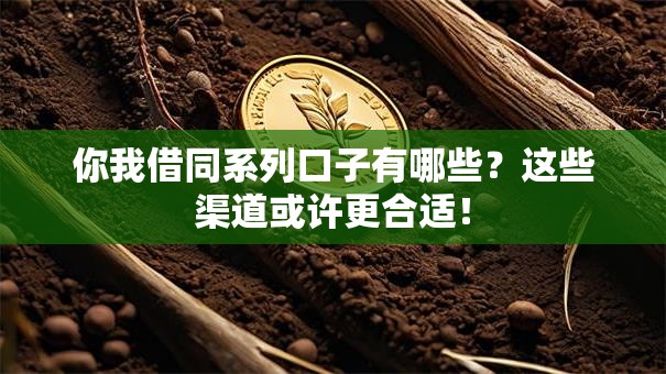 你我借同系列口子有哪些？这些渠道或许更合适！