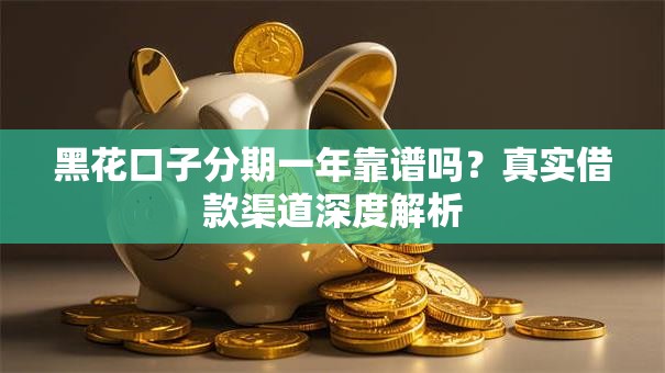 黑花口子分期一年靠谱吗？真实借款渠道深度解析