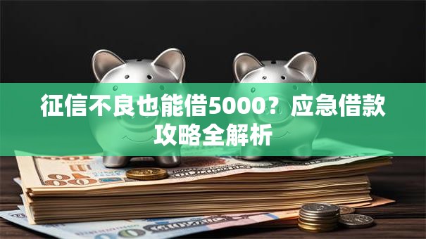 征信不良也能借5000？应急借款攻略全解析