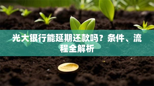 光大银行能延期还款吗？条件、流程全解析