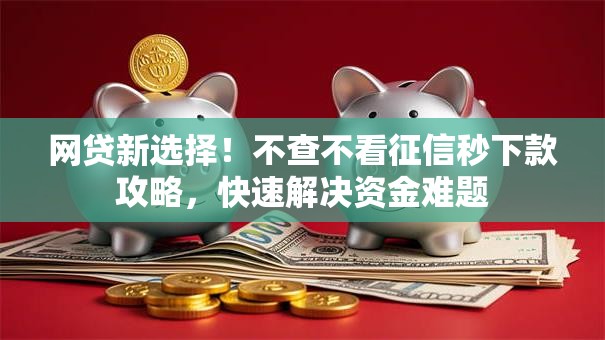 网贷新选择！不查不看征信秒下款攻略，快速解决资金难题