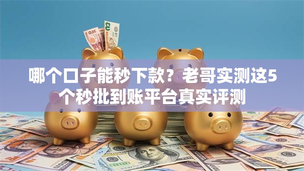 哪个口子能秒下款？老哥实测这5个秒批到账平台真实评测