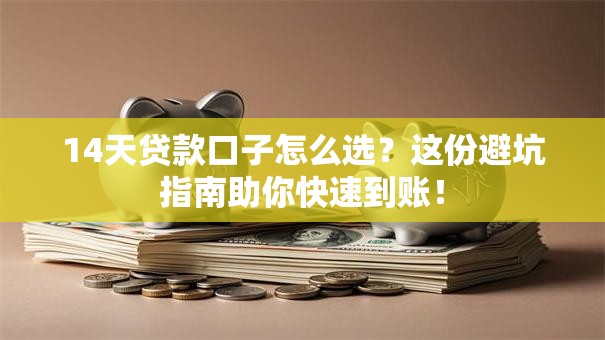 14天贷款口子怎么选？这份避坑指南助你快速到账！