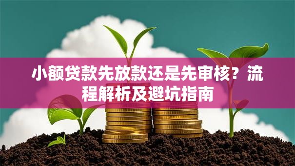 小额贷款先放款还是先审核？流程解析及避坑指南