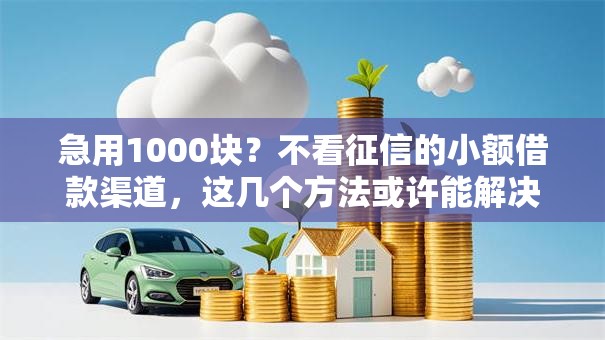 急用1000块？不看征信的小额借款渠道，这几个方法或许能解决