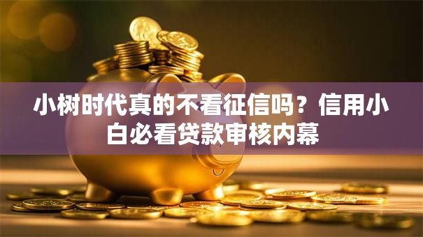 小树时代真的不看征信吗？信用小白必看贷款审核内幕