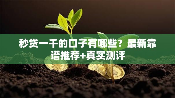 秒贷一千的口子有哪些？最新靠谱推荐+真实测评