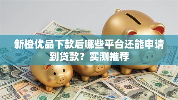 新橙优品下款后哪些平台还能申请到贷款？实测推荐