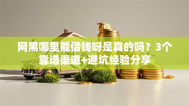 网黑哪里能借钱呀是真的吗？3个靠谱渠道+避坑经验分享