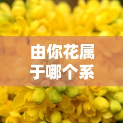 由你花属于哪个系列的口子？深度解析平台属性与使用技巧