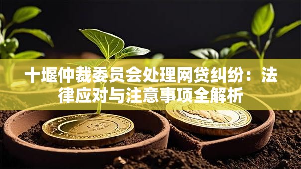 十堰仲裁委员会处理网贷纠纷：法律应对与注意事项全解析