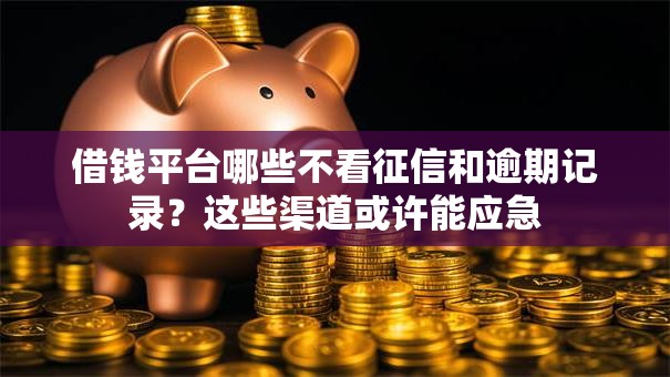 借钱平台哪些不看征信和逾期记录？这些渠道或许能应急