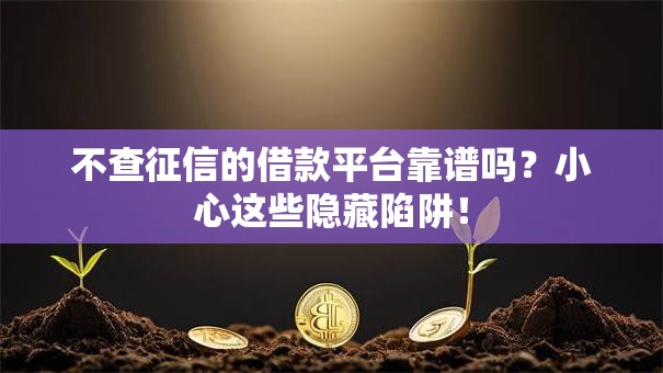 不查征信的借款平台靠谱吗？小心这些隐藏陷阱！