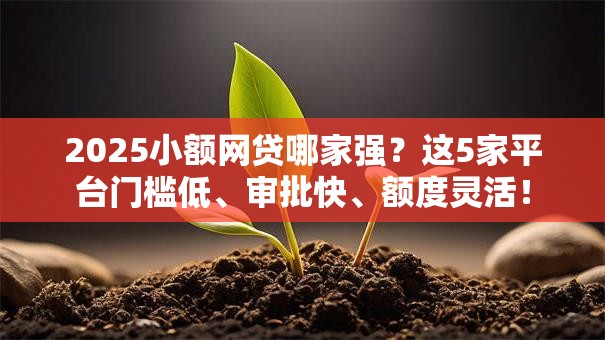 2025小额网贷哪家强？这5家平台门槛低、审批快、额度灵活！