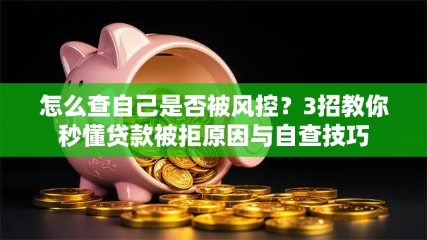 怎么查自己是否被风控？3招教你秒懂贷款被拒原因与自查技巧
