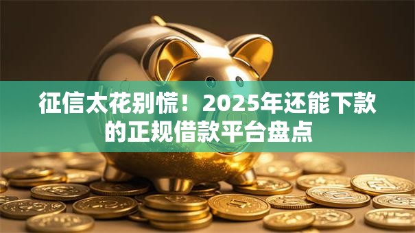 征信太花别慌！2025年还能下款的正规借款平台盘点