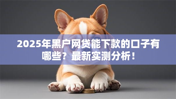 2025年黑户网贷能下款的口子有哪些？最新实测分析！