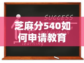 芝麻分540如何申请教育贷款？低分攻略+避坑指南全解析