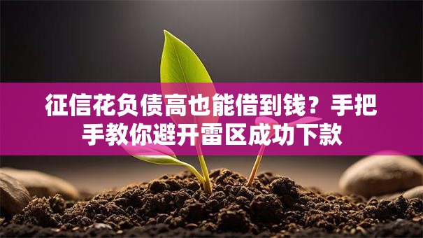 征信花负债高也能借到钱？手把手教你避开雷区成功下款