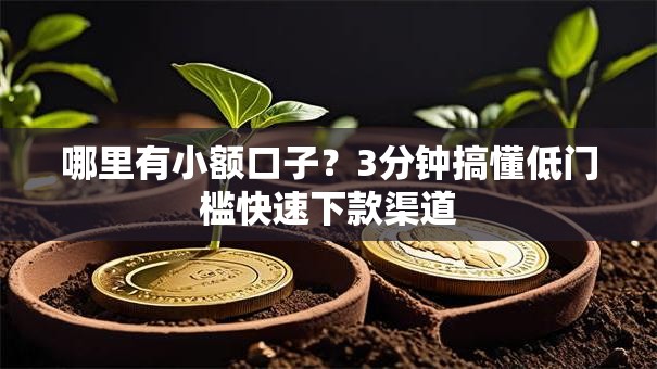 哪里有小额口子？3分钟搞懂低门槛快速下款渠道
