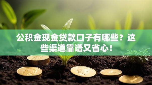 公积金现金贷款口子有哪些？这些渠道靠谱又省心！