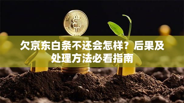 欠京东白条不还会怎样？后果及处理方法必看指南