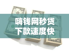 嗨钱网秒贷下款速度快吗？真实审核流程与到账时间解析