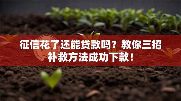 征信花了还能贷款吗？教你三招补救方法成功下款！