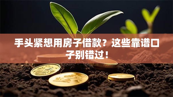 手头紧想用房子借款？这些靠谱口子别错过！