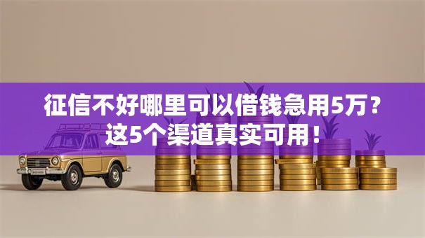 征信不好哪里可以借钱急用5万？这5个渠道真实可用！