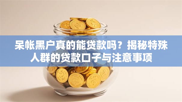 呆帐黑户真的能贷款吗？揭秘特殊人群的贷款口子与注意事项