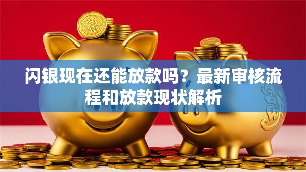 闪银现在还能放款吗？最新审核流程和放款现状解析