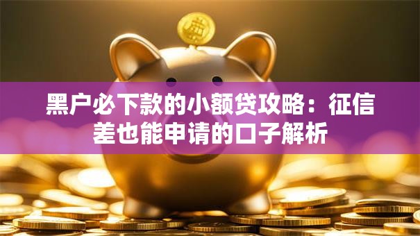 黑户必下款的小额贷攻略：征信差也能申请的口子解析