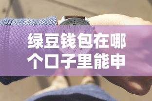 绿豆钱包在哪个口子里能申请？真实评测+下款技巧分享