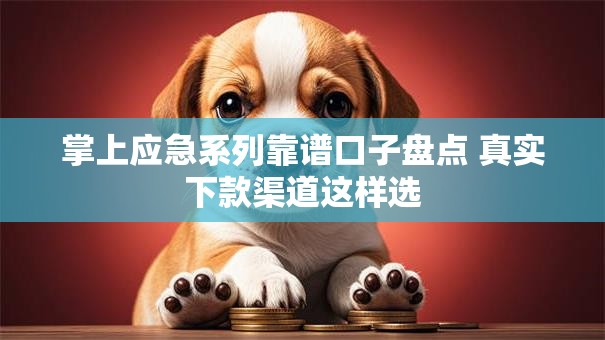 掌上应急系列靠谱口子盘点 真实下款渠道这样选