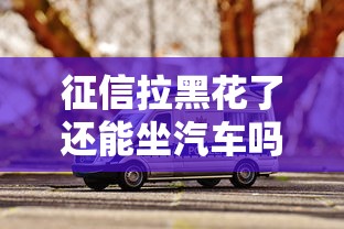 征信拉黑花了还能坐汽车吗？真实影响全解析