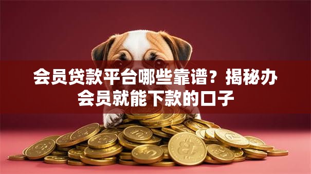 会员贷款平台哪些靠谱？揭秘办会员就能下款的口子