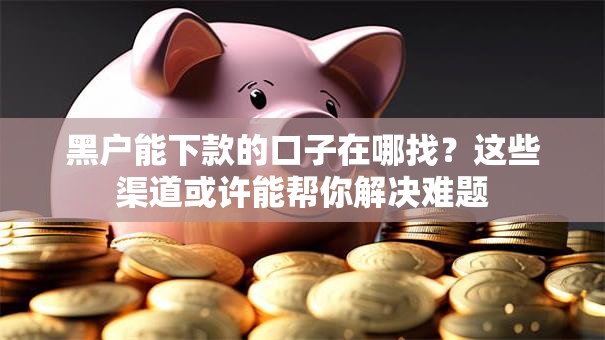 黑户能下款的口子在哪找？这些渠道或许能帮你解决难题