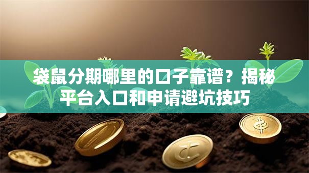 袋鼠分期哪里的口子靠谱？揭秘平台入口和申请避坑技巧