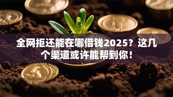 全网拒还能在哪借钱2025？这几个渠道或许能帮到你！