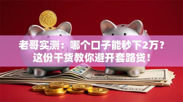 老哥实测：哪个口子能秒下2万？这份干货教你避开套路贷！