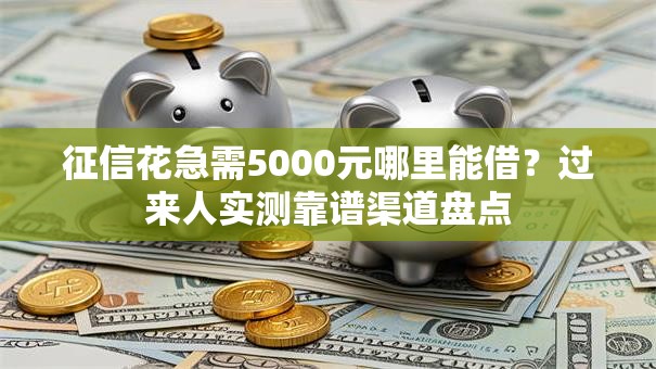 征信花急需5000元哪里能借？过来人实测靠谱渠道盘点