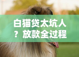 白猫贷太坑人？放款全过程曝光！这些细节不注意可能吃大亏