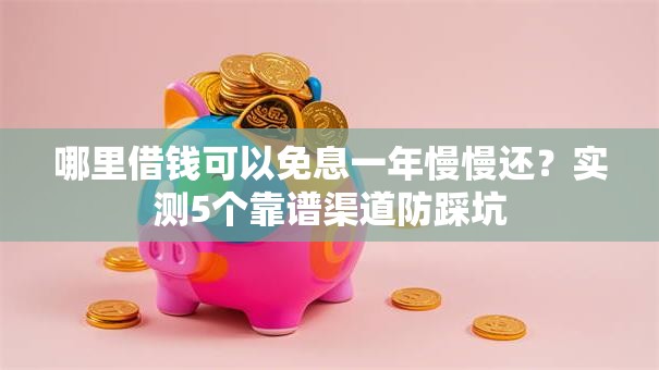 哪里借钱可以免息一年慢慢还？实测5个靠谱渠道防踩坑