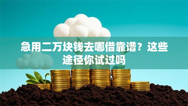 急用二万块钱去哪借靠谱？这些途径你试过吗
