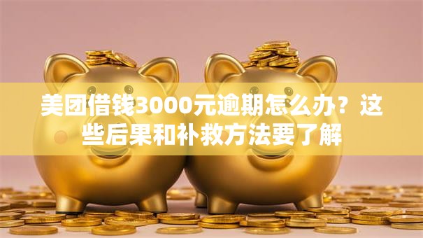 美团借钱3000元逾期怎么办？这些后果和补救方法要了解