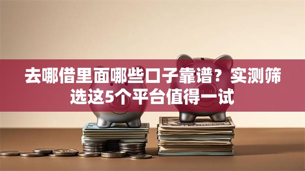 去哪借里面哪些口子靠谱？实测筛选这5个平台值得一试